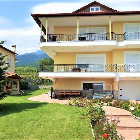 Apartment Achilles Litochoro Exterior photo